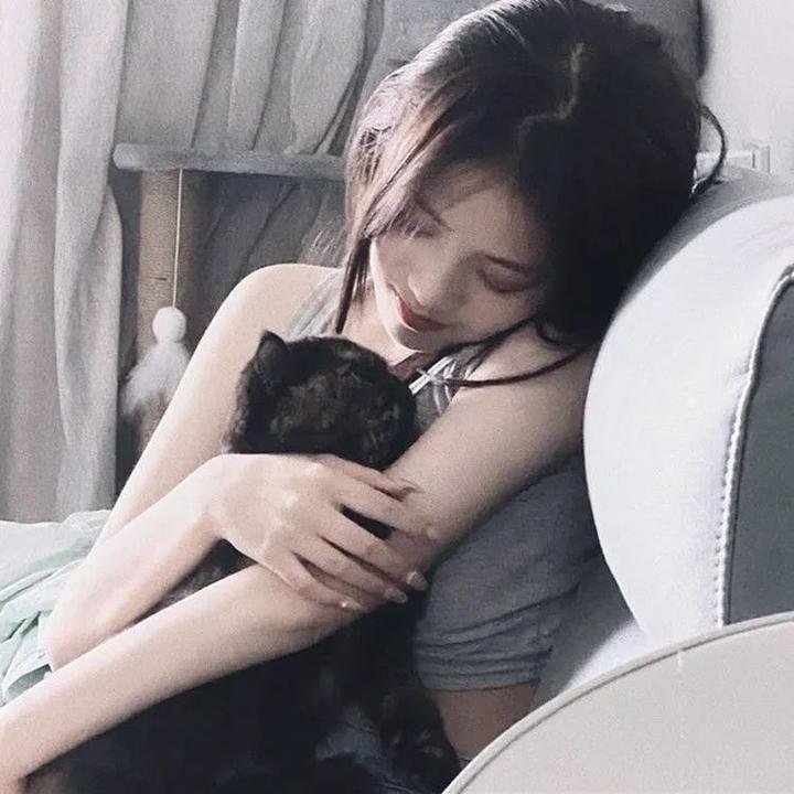 综艺动漫